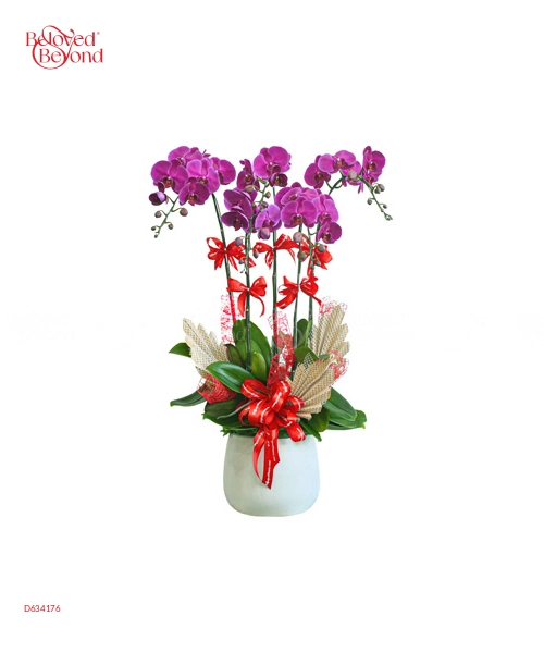 Hồ Điệp Tím 5 Cành - belovedbeyond.com