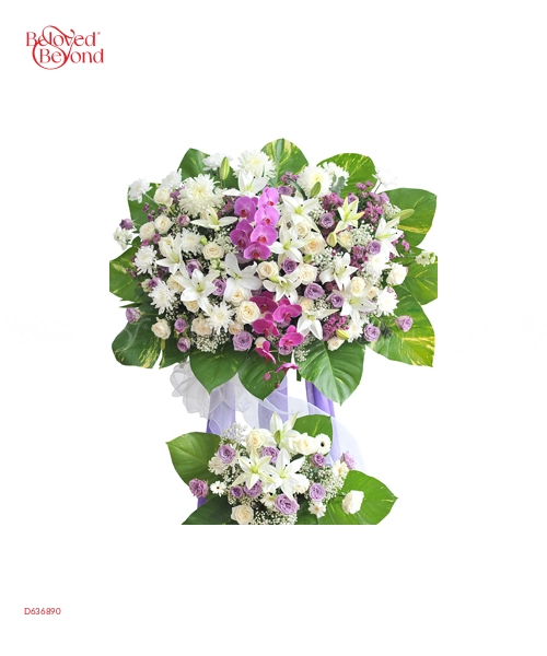 Hồi Ức Xưa - belovedbeyond.com