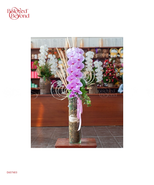 Hồ Điệp Cao Cấp 04 - belovedbeyond.com
