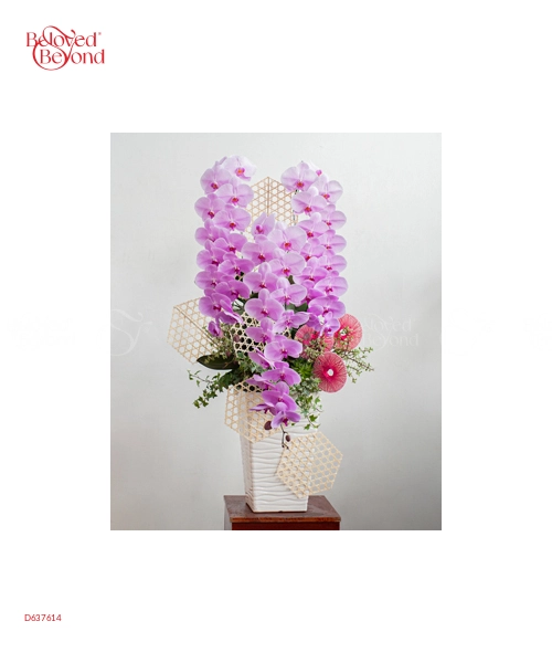 Hồ Điệp Cao Cấp 09 - belovedbeyond.com