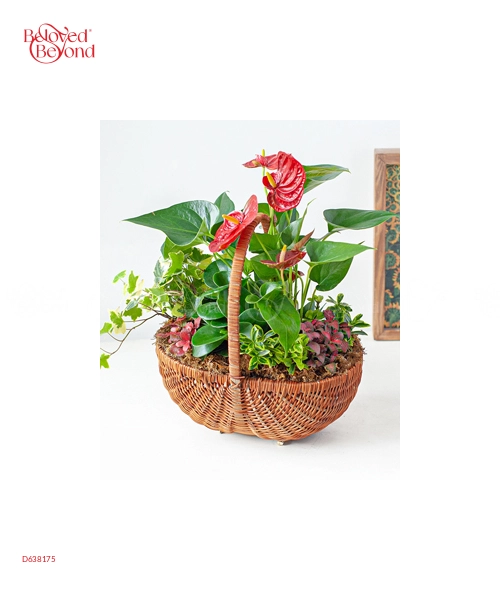 Happy Day 9 - belovedbeyond.com