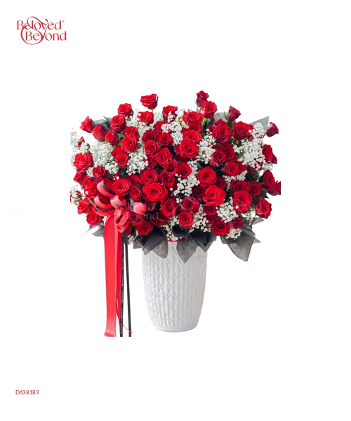 Special Day 6 - belovedbeyond.com