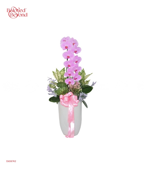 Premium Orchid 01 - belovedbeyond.com