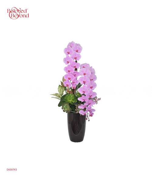 Premium Orchid 02 - belovedbeyond.com