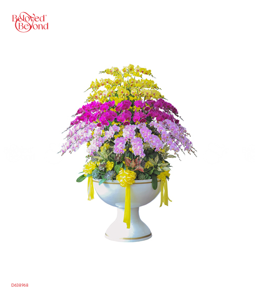 Chậu Hồ Điệp Mix Màu 100 Cành - belovedbeyond.com