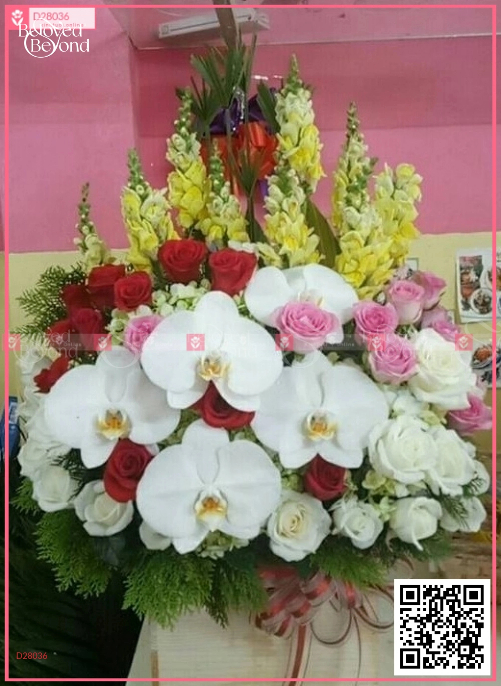 Xinh Xắn - belovedbeyond.com