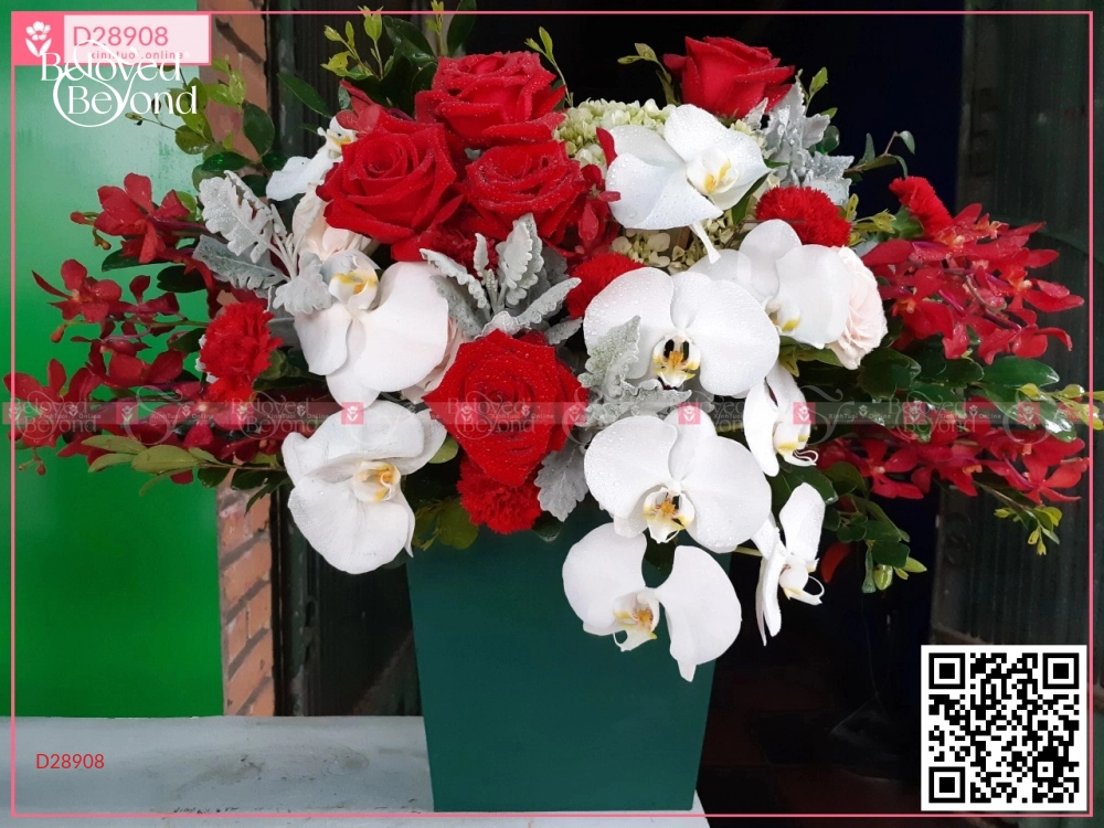 May Mắn - belovedbeyond.com