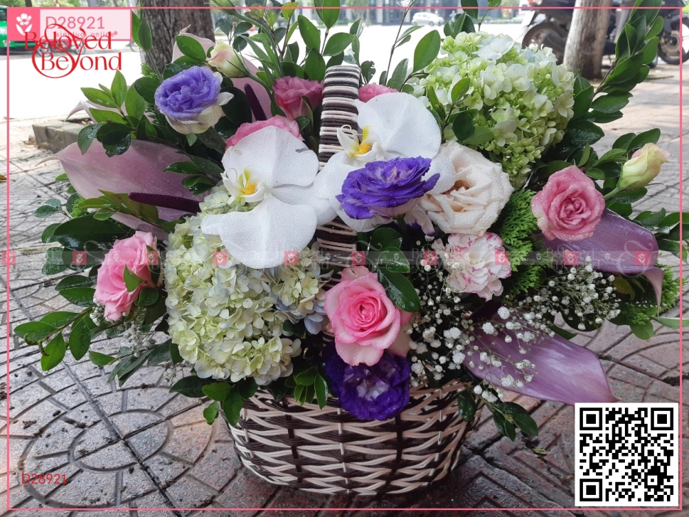 Sức Sống - belovedbeyond.com