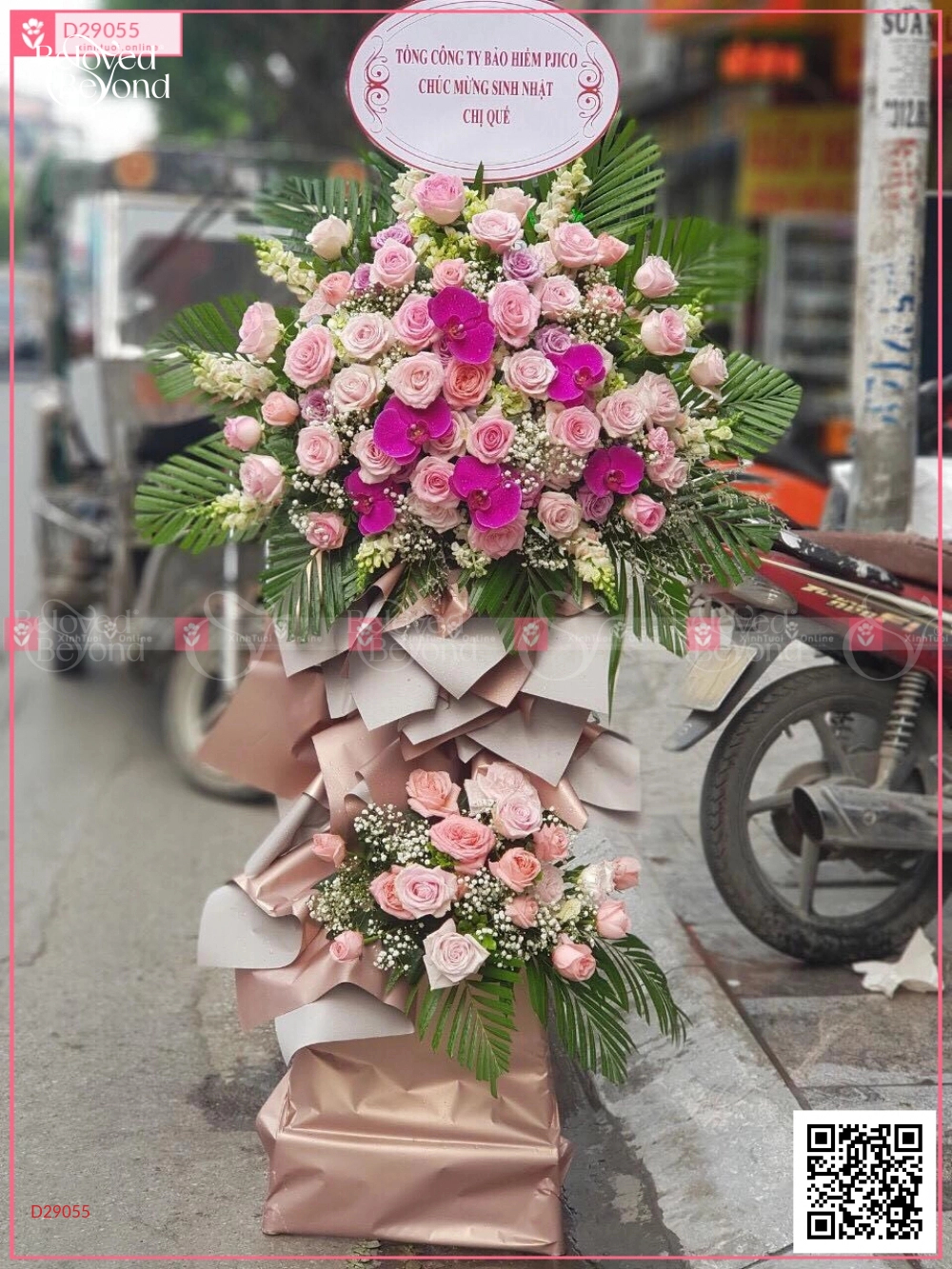 Khởi Sắc - belovedbeyond.com