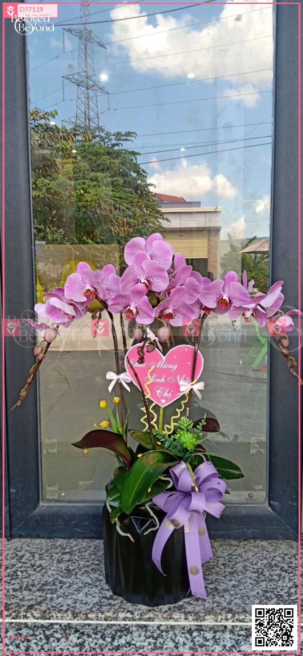 Hy Vọng - belovedbeyond.com
