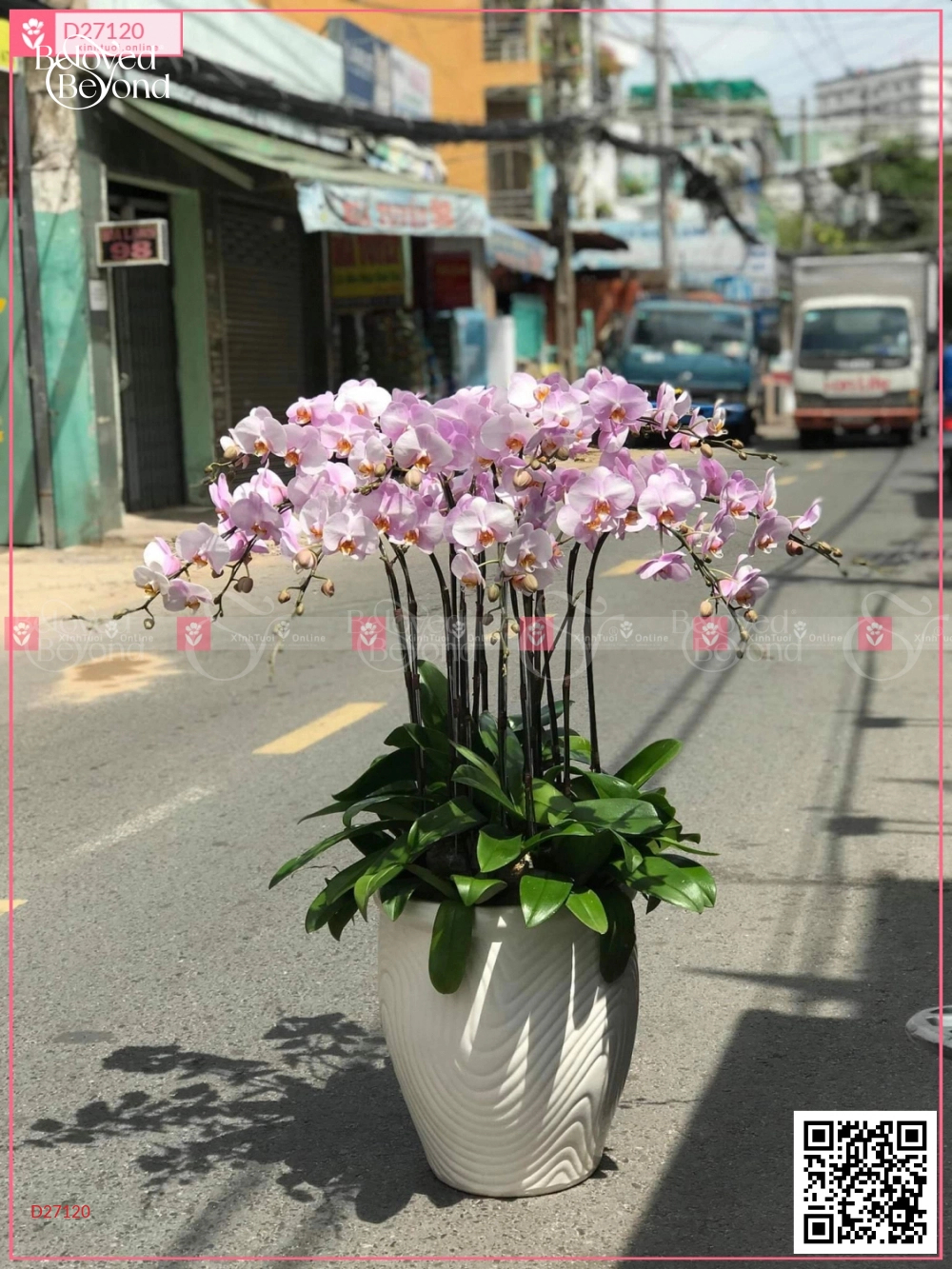 Vươn Xa - belovedbeyond.com