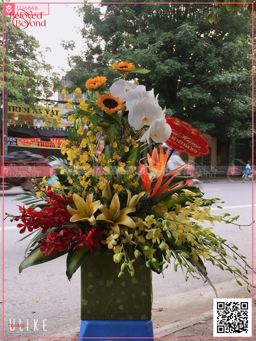 Congratulation 03 - belovedbeyond.com