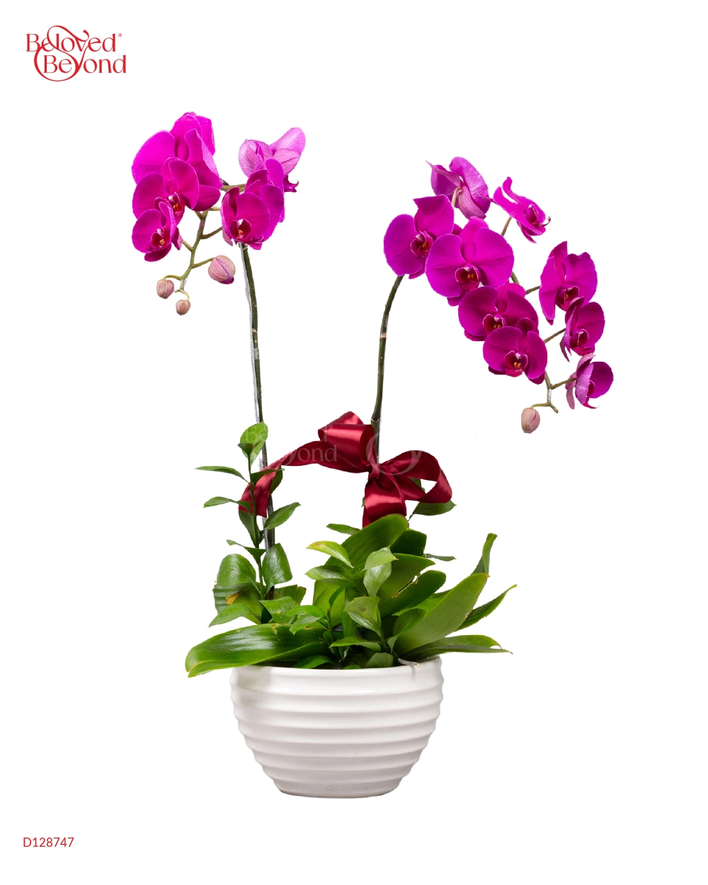 Phú Quý (02 Cành) - belovedbeyond.com