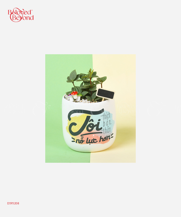 Nỗ Lực Hơn - belovedbeyond.com