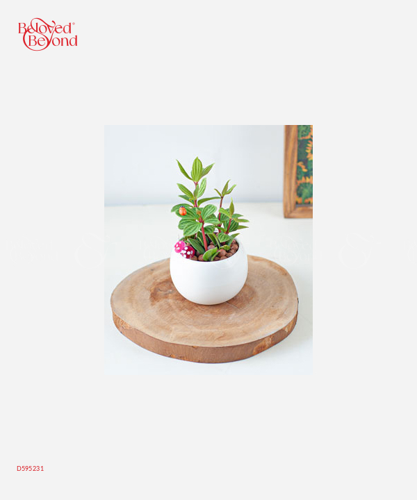 Be Happy Everyday - belovedbeyond.com