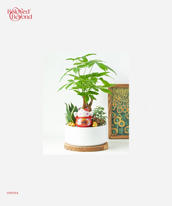 Mèo Phát Tài - belovedbeyond.com