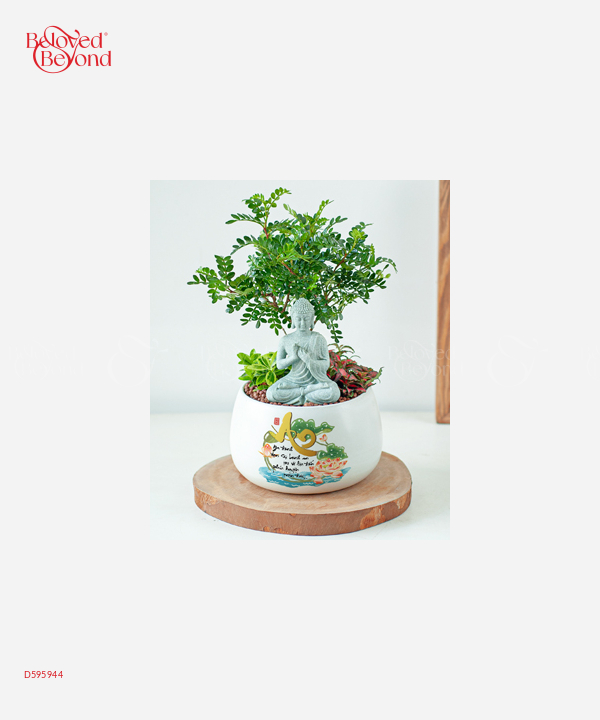 Nature And Life - belovedbeyond.com