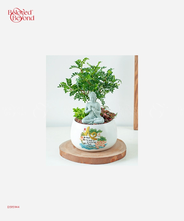 Nature And Life - belovedbeyond.com