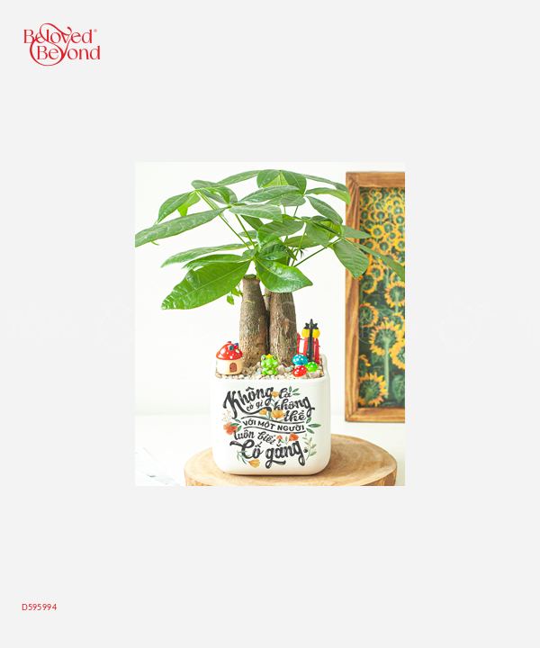 An Khang Thịnh Vượng - belovedbeyond.com