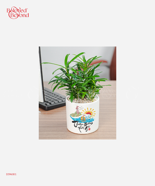 Thuận Buồm Xuôi Gió 2 - belovedbeyond.com