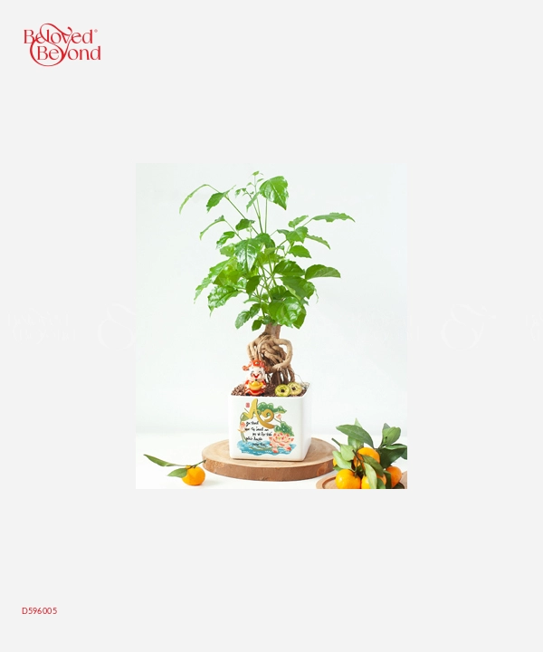Sen Đá Tài Lộc - belovedbeyond.com