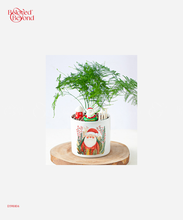 Thọ Tỉ Nam Sơn - belovedbeyond.com