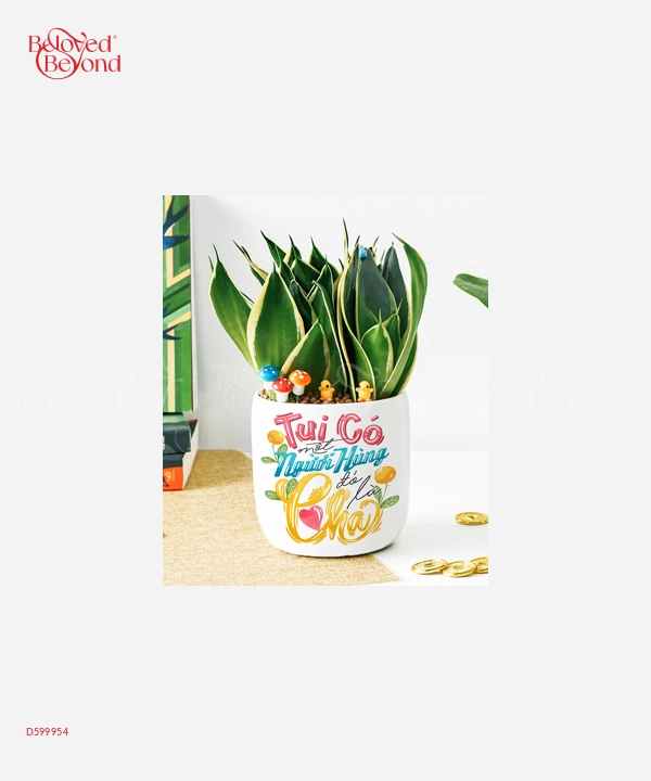 Ba Tuyệt Nhất - belovedbeyond.com