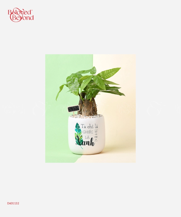 Chiếc Lá - belovedbeyond.com