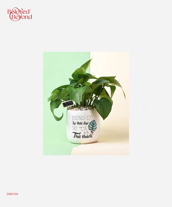 Thử Thách - belovedbeyond.com