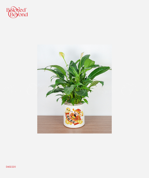 Đại Phúc - belovedbeyond.com