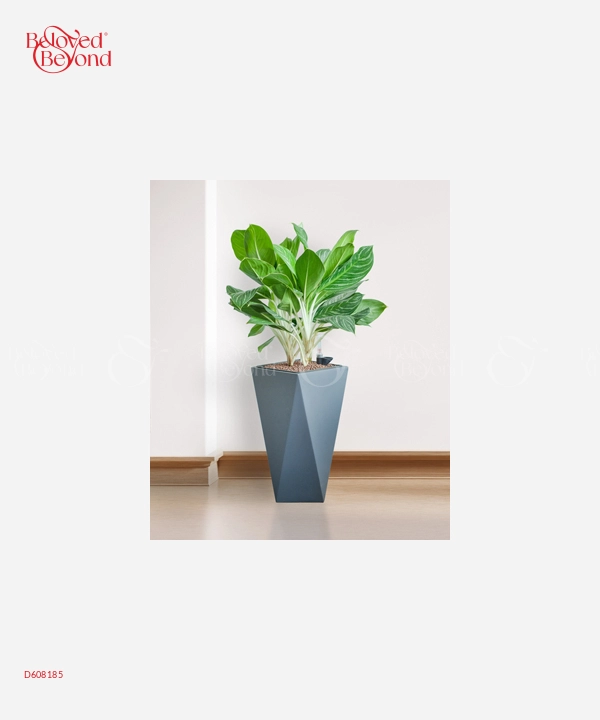 Bạch Mã Hoàng Tử Cps - belovedbeyond.com