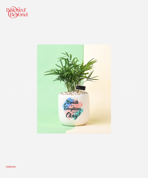 Will Be Okay - belovedbeyond.com