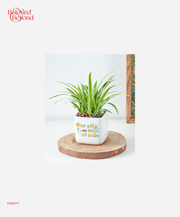 Ngọ Thanh Lịch - belovedbeyond.com