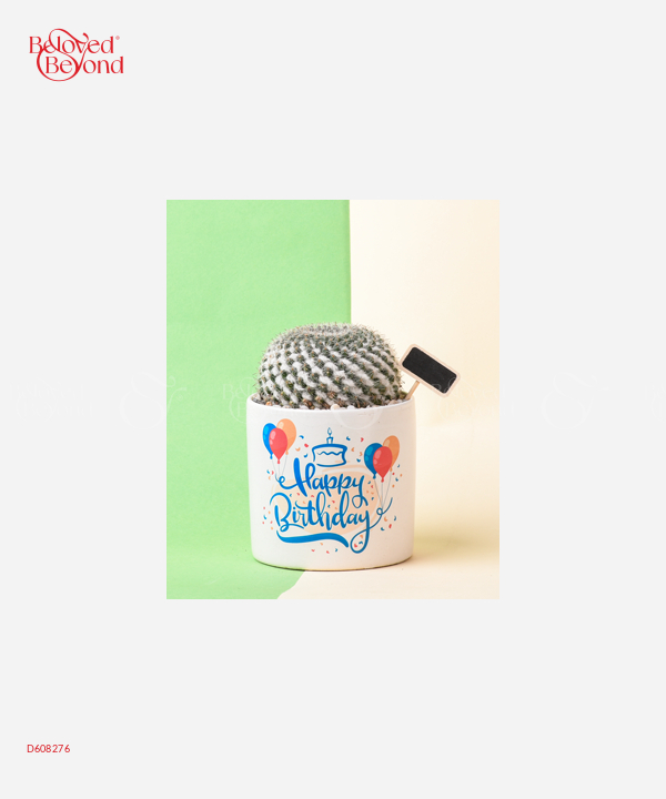 Mừng Sinh Nhật - belovedbeyond.com