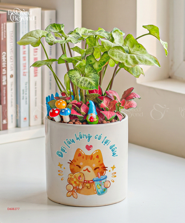 The Cat - belovedbeyond.com