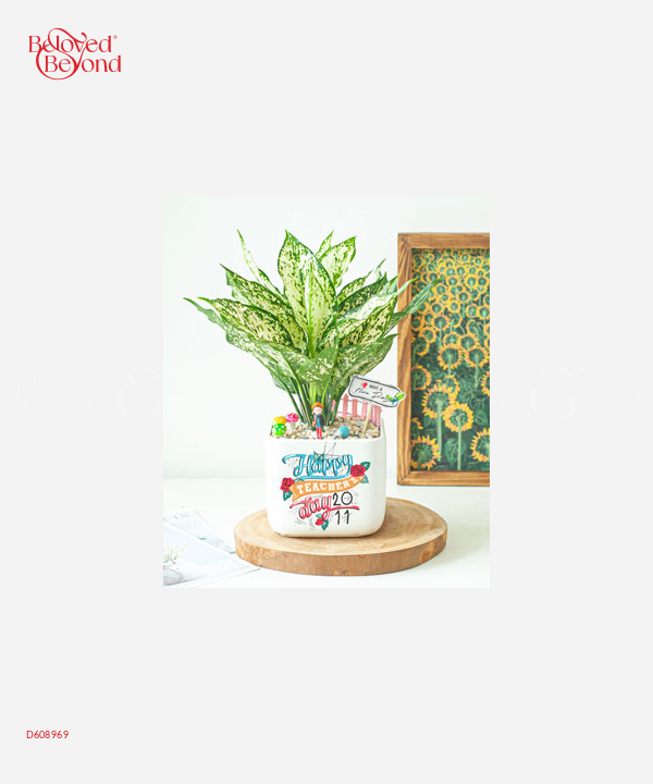 Mừng Ngày Nhà Giáo - belovedbeyond.com