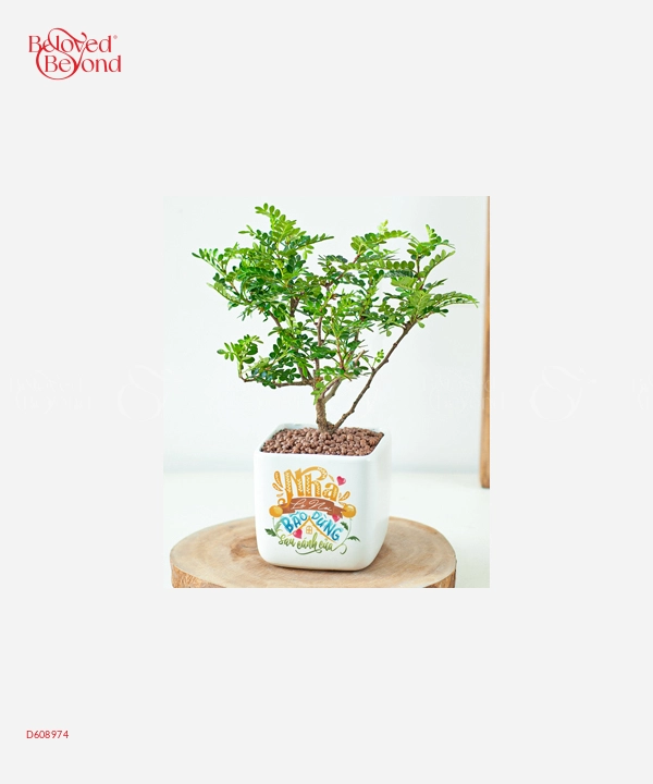 Tận Tuỵ - belovedbeyond.com
