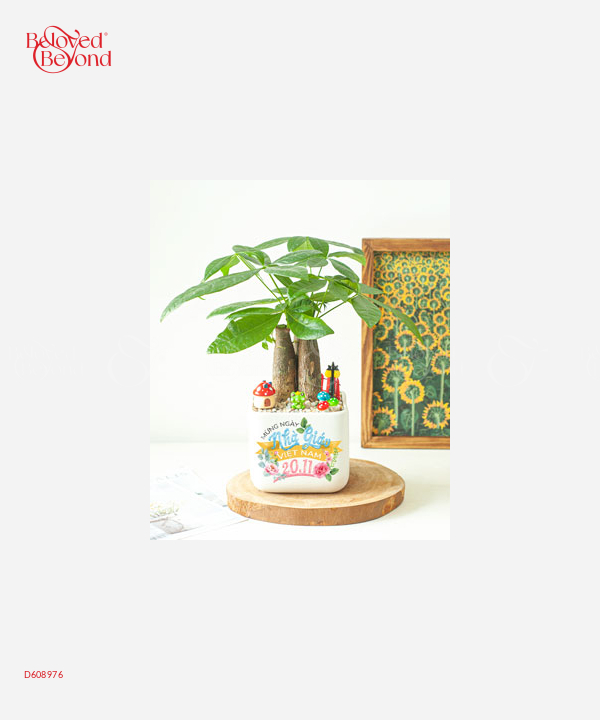 Tri Ân - belovedbeyond.com