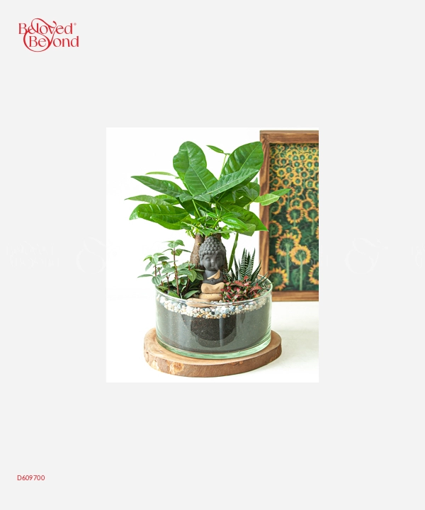 Thần Tài Gõ Cửa - belovedbeyond.com