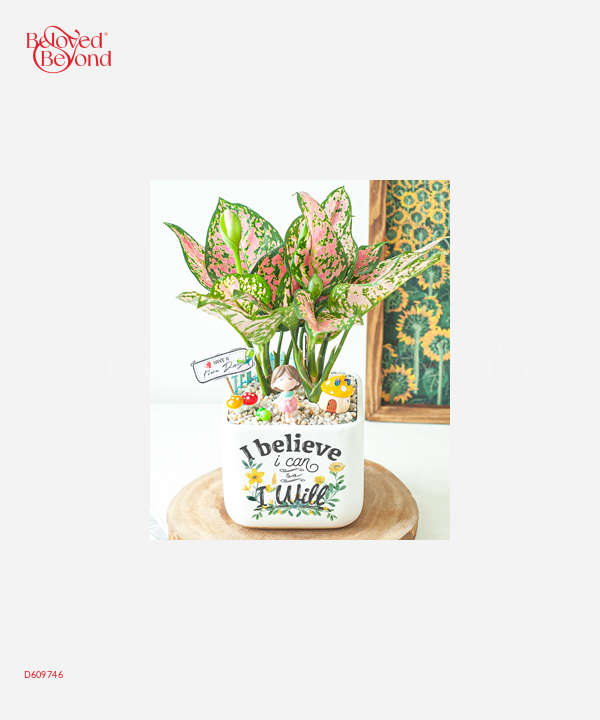 Follow You - belovedbeyond.com