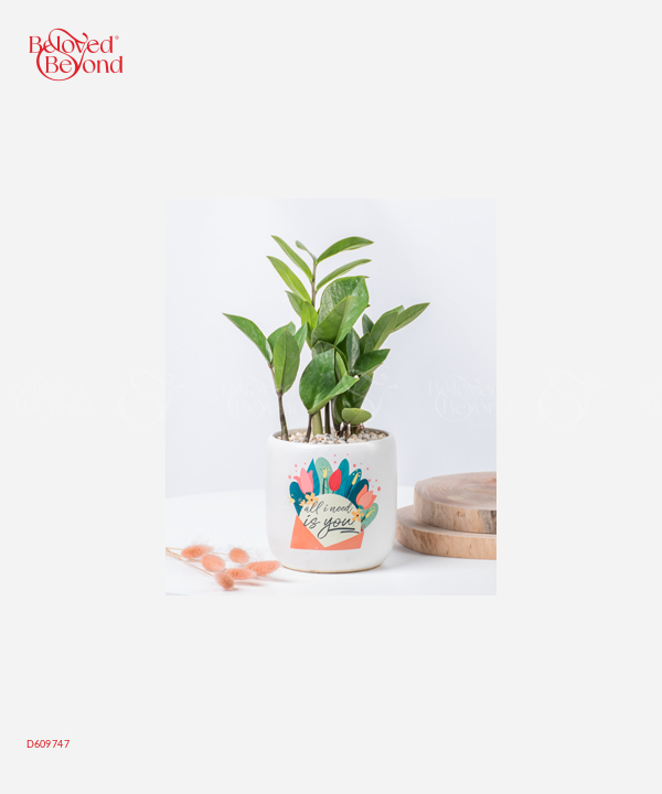 Need You - belovedbeyond.com