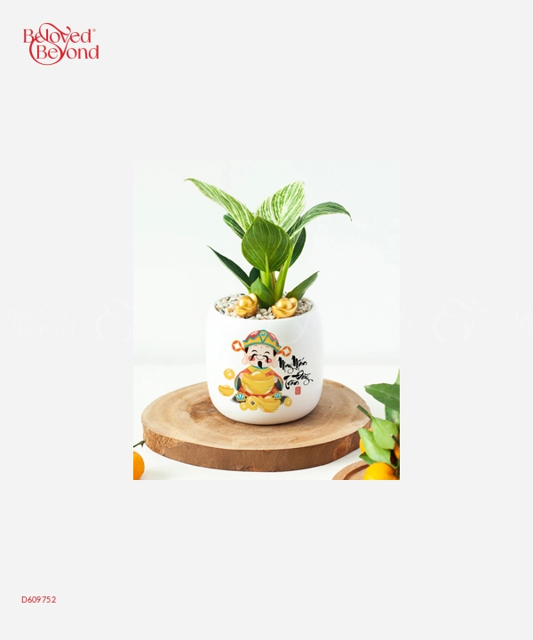 Hổ Thần Tài - belovedbeyond.com
