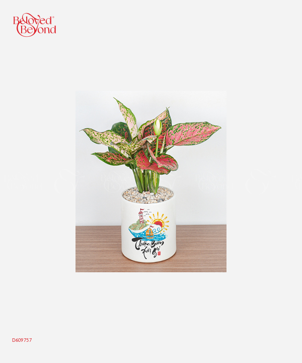Dẫn Lộc - belovedbeyond.com