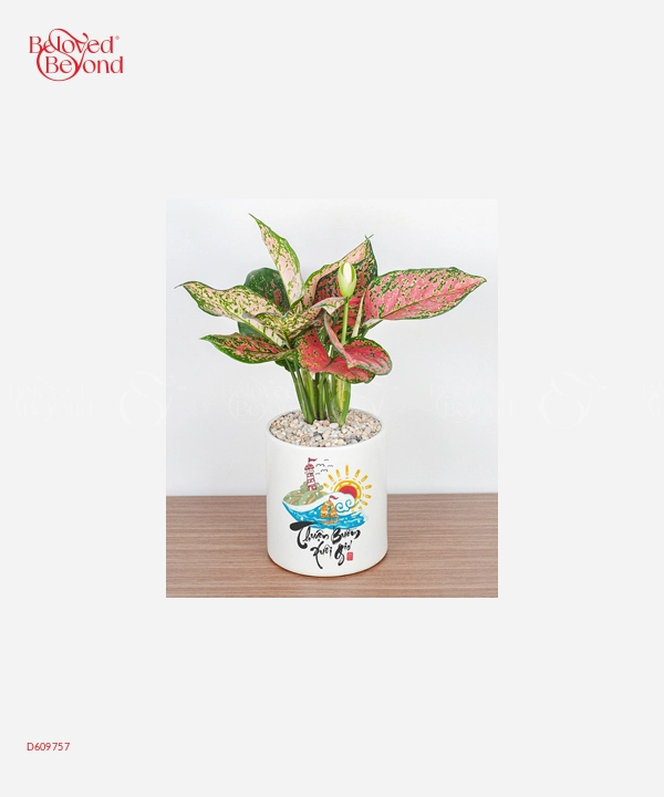 Dẫn Lộc - belovedbeyond.com