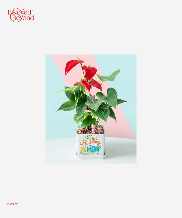 Hồng Môn May Mắn - belovedbeyond.com