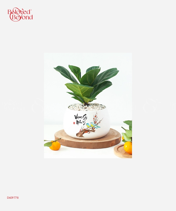 Nhà Là Yêu Thương - belovedbeyond.com