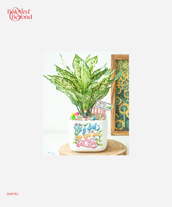 Phát Lộc Kim Tiền - belovedbeyond.com