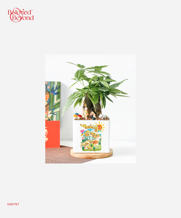 Đường Về Nhà - belovedbeyond.com