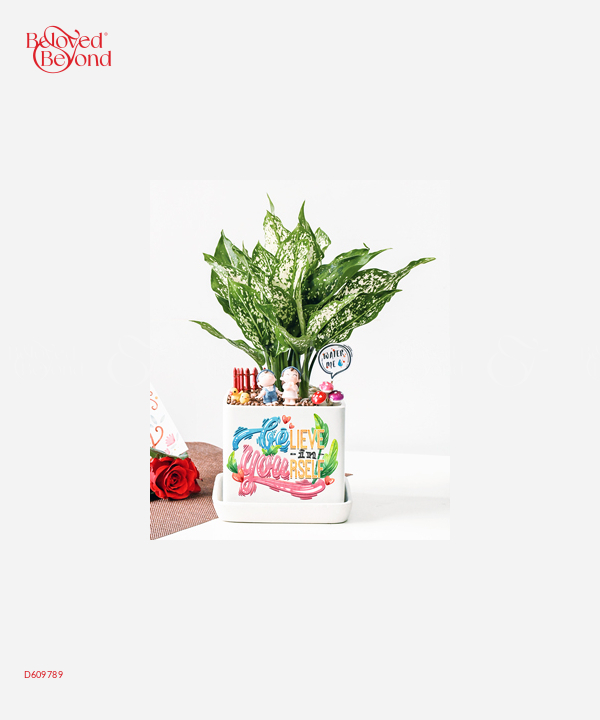 Yêu Bản Thân - belovedbeyond.com