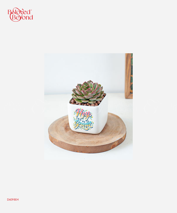 Thìn Nhiệt Huyết - belovedbeyond.com